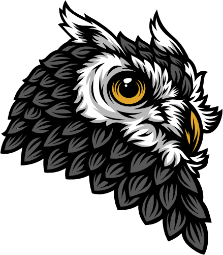 (145-1A-60) Gray Owl Mascot
