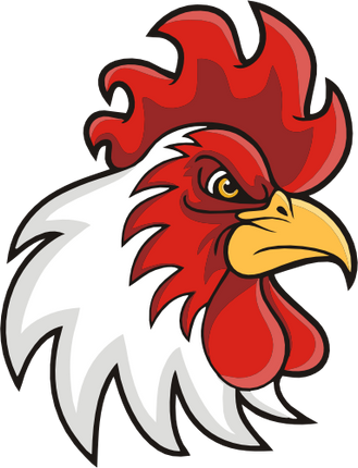 (145-1A-74) Rooster Mascot