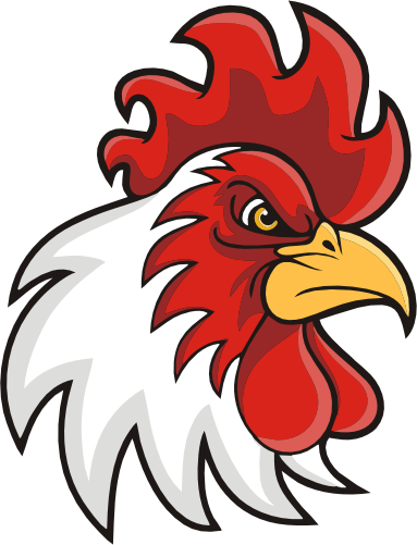 (145-1A-74) Rooster Mascot