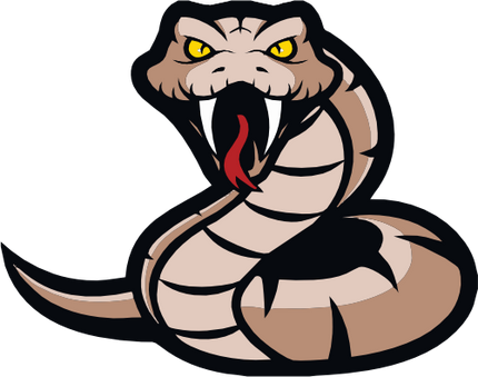 (145-1A-77) Snake Mascot