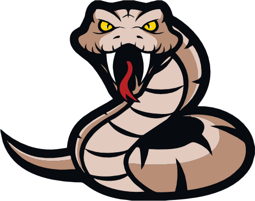 (145-1A-77) Snake Mascot