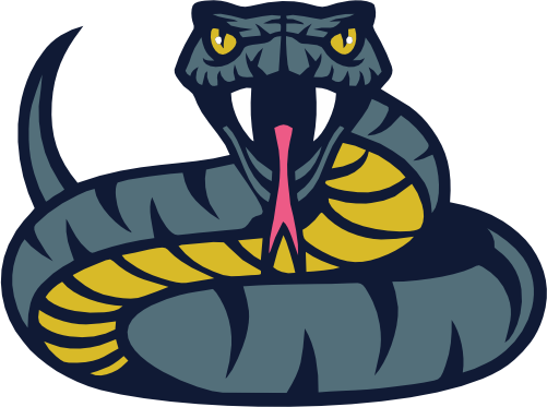 (145-1A-78) Snake Mascot