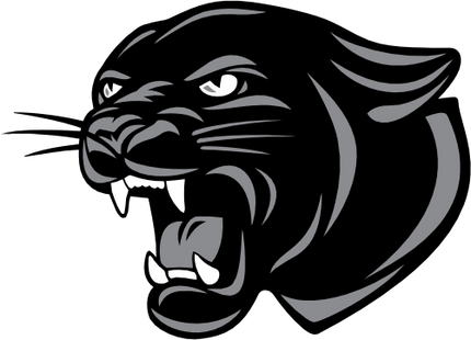 (145-1A-80-1) Panther Mascot