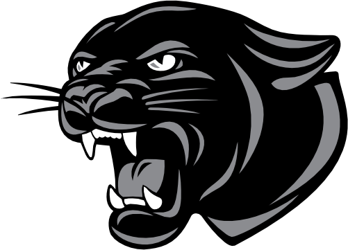 (145-1A-80-1) Panther Mascot