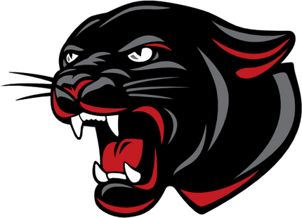 (145-1A-80-2) Panther Mascot