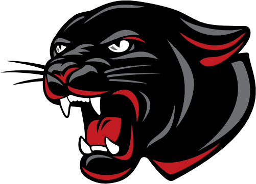 (145-1A-80-2) Panther Mascot