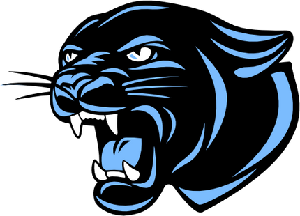 (145-1A-80-3) Panther Mascot