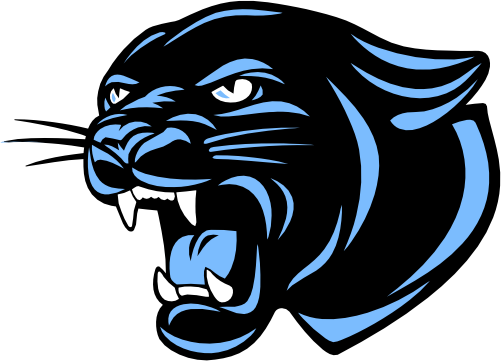 (145-1A-80-3) Panther Mascot