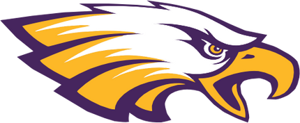 (145-1A-85-2) Eagle Mascot