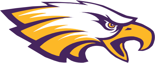 (145-1A-85-2) Eagle Mascot