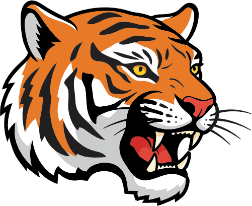 (145-1A-90) Tiger Mascot