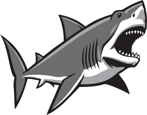 (145-1A-93) Shark Mascot