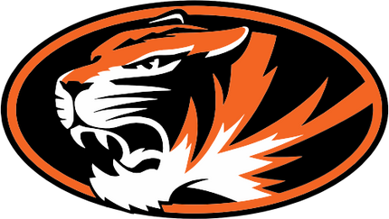 (145-1A-94-2) Orange Tiger Mascot