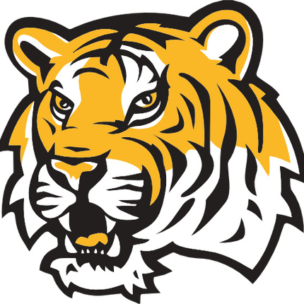 (145-1A-96) Tiger Mascot