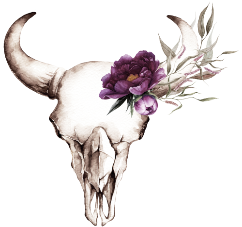 (s147-S) Cow Skull Purple Peonies