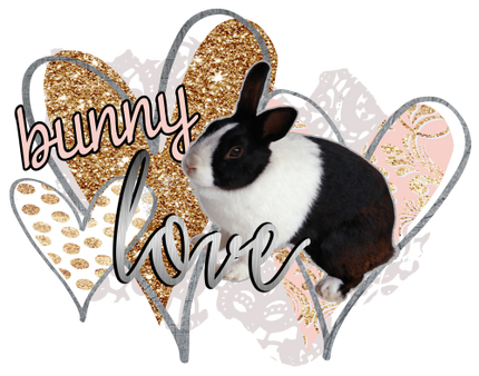 (154-04-A) Black White Dutch Rabbit Bunny Love