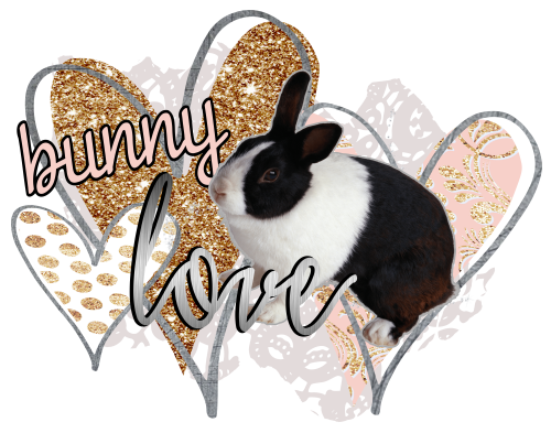 (154-04-A) Black White Dutch Rabbit Bunny Love