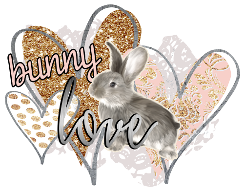(154-04-B) Gray Rabbit Bunny Love