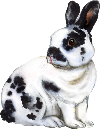 (154-03-1A) Watercolor Bunny Rabbit