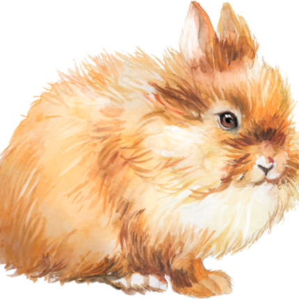 (154-03-2A) Watercolor Bunny Rabbit