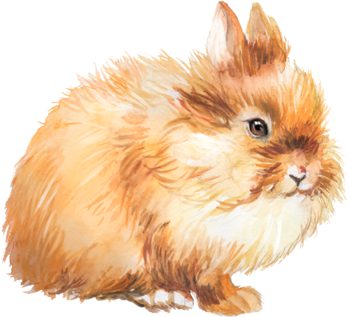 (154-03-2A) Watercolor Bunny Rabbit