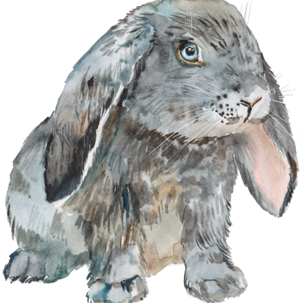 (154-03-3A) Watercolor Bunny Rabbit