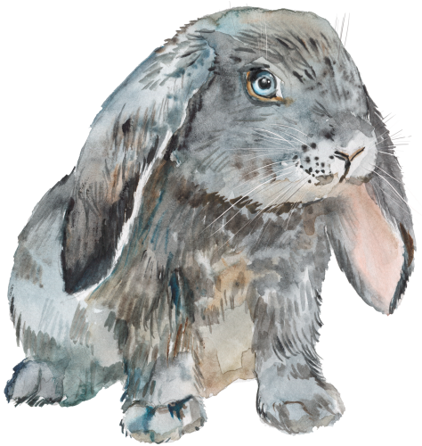 (154-03-3A) Watercolor Bunny Rabbit