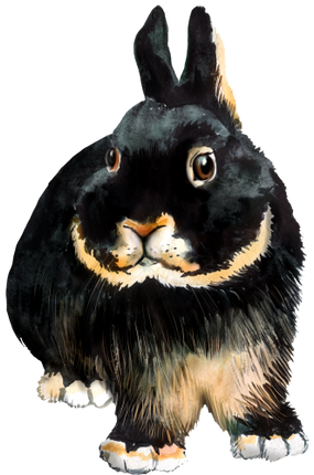 (154-03-1B) Watercolor Bunny Rabbit