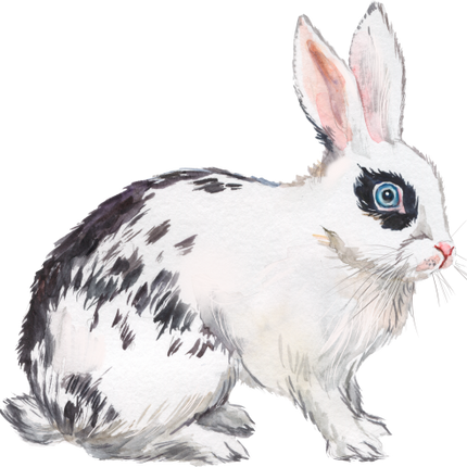 (154-03-3B) Watercolor Bunny Rabbit