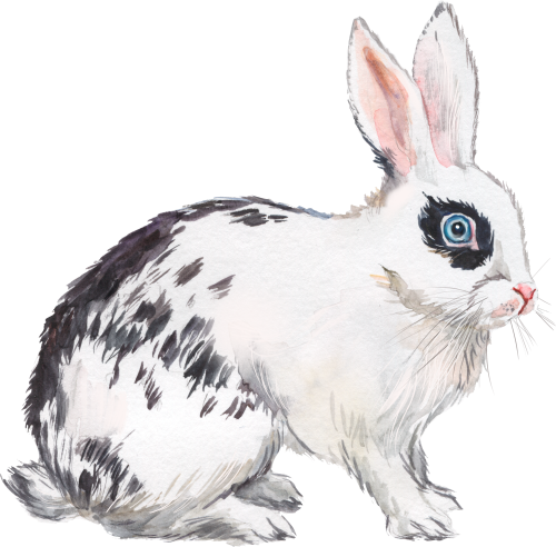 (154-03-3B) Watercolor Bunny Rabbit