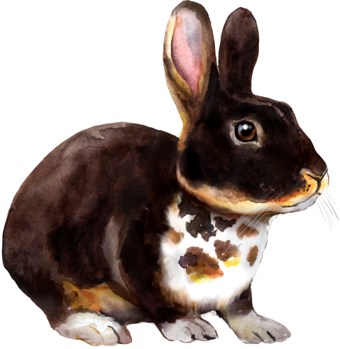 (s154-3-1C) Watercolor Bunny Rabbit