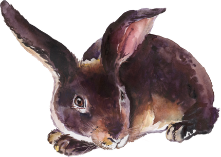 (154-03-2C) Watercolor Bunny Rabbit