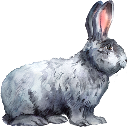 (154-03-1D) Watercolor Bunny Rabbit