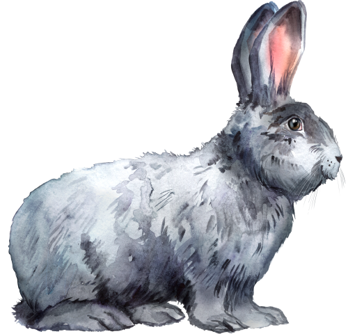 (154-03-1D) Watercolor Bunny Rabbit