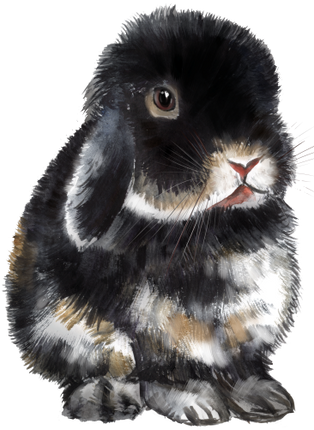 (154-03-2E) Watercolor Bunny Rabbit