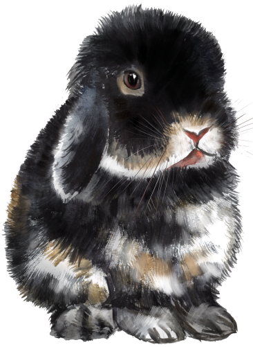 (154-03-2E) Watercolor Bunny Rabbit