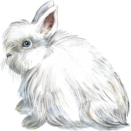 (154-03-2F) Watercolor Bunny Rabbit