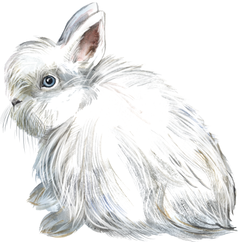 (154-03-2F) Watercolor Bunny Rabbit