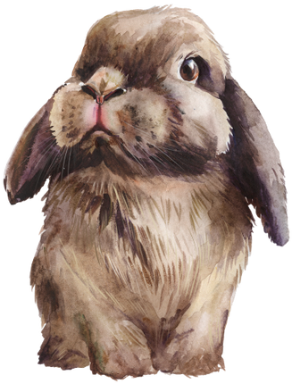 (154-03-1G) Watercolor Bunny Rabbit