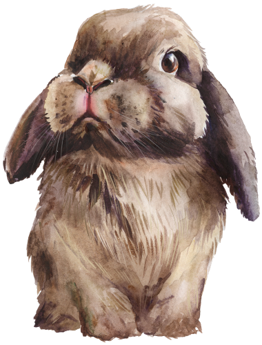 (s154-3-1G) Watercolor Bunny Rabbit