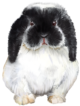 (154-03-2G) Watercolor Bunny Rabbit