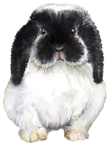 (s154-3-2G) Watercolor Bunny Rabbit