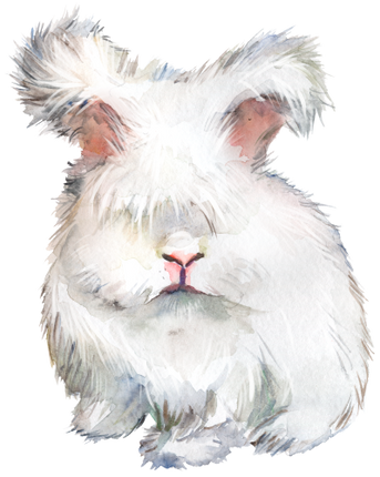 (154-03-1H) Watercolor Bunny Rabbit