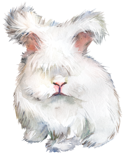 (s154-3-1H) Watercolor Bunny Rabbit