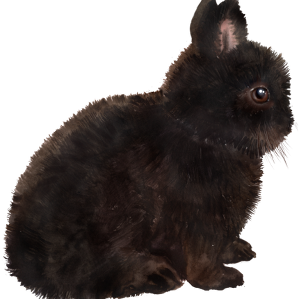 (154-03-2H) Watercolor Bunny Rabbit