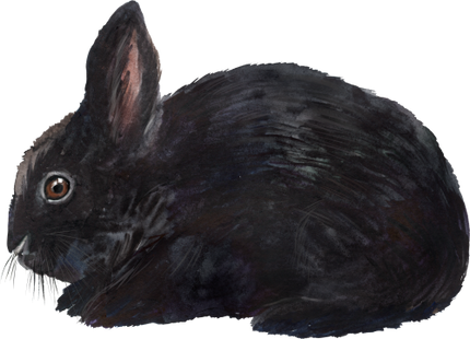 (154-03-1I) Watercolor Bunny Rabbit