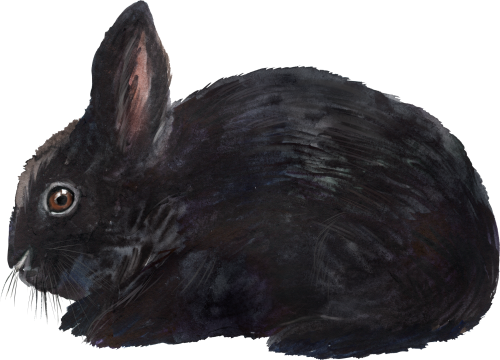 (154-03-1I) Watercolor Bunny Rabbit