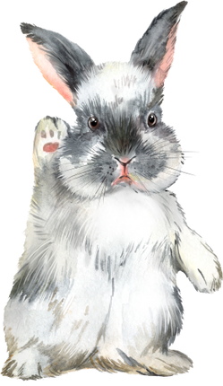 (154-03-2I) Watercolor Bunny Rabbit