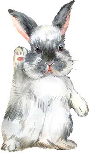 (154-03-2I) Watercolor Bunny Rabbit