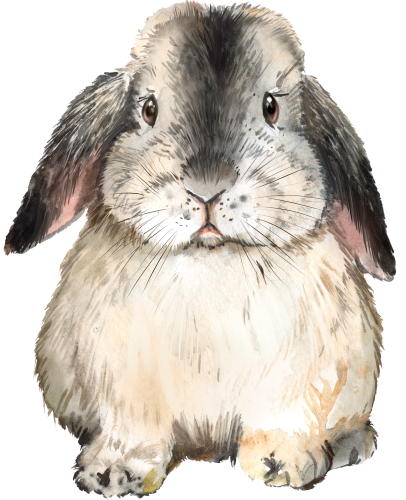 (s154-3-2J) Watercolor Bunny Rabbit